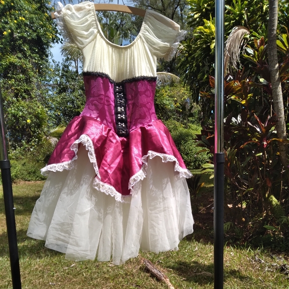 Renaissance Costume Pink Maroon Cream Dress Tulle Ruffle - Picture 3 of 11